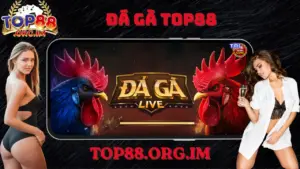 Đá Gà Top88